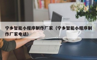 燕郊宁乡智能小程序制作厂家（宁乡智能小程序制作厂家电话）